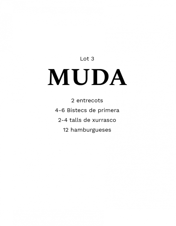 Lot MUDA (4 Kg)